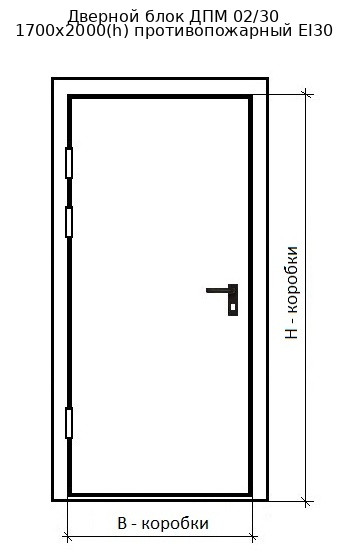 Дверной блок ДПМ 02/30 1700х2000(h) противопожарный EI30